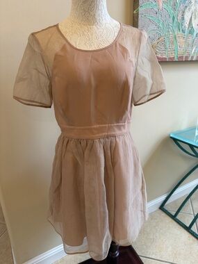 BCBGeneration Dusty Rose Mesh Short Sleeve Fit-and-Flare Dress